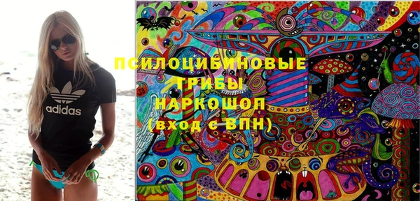 амф Абаза