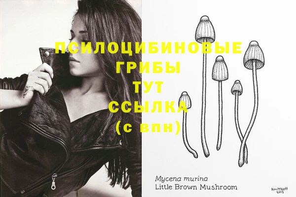 МДПВ Елизово