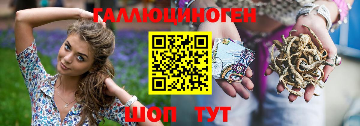 Кимовск  Псилоцибиновые грибы мицелий  Вход с VPN  Галлюциногенные грибы Psilocybine cubensis 